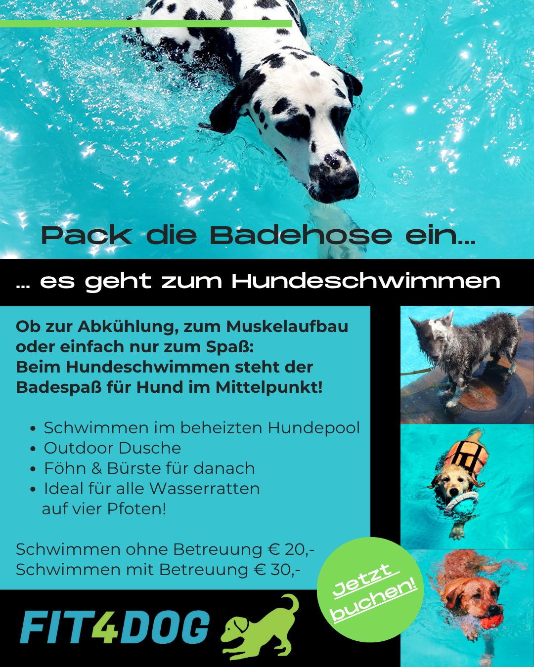 Hundeschwimmen