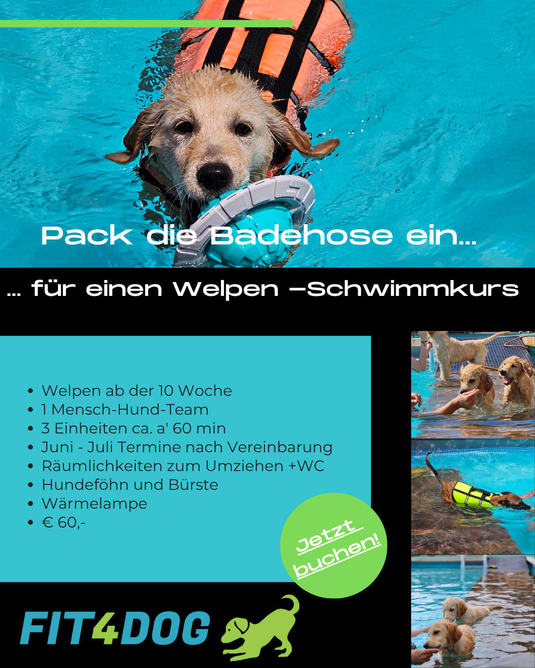 Welpenschwimmkurs